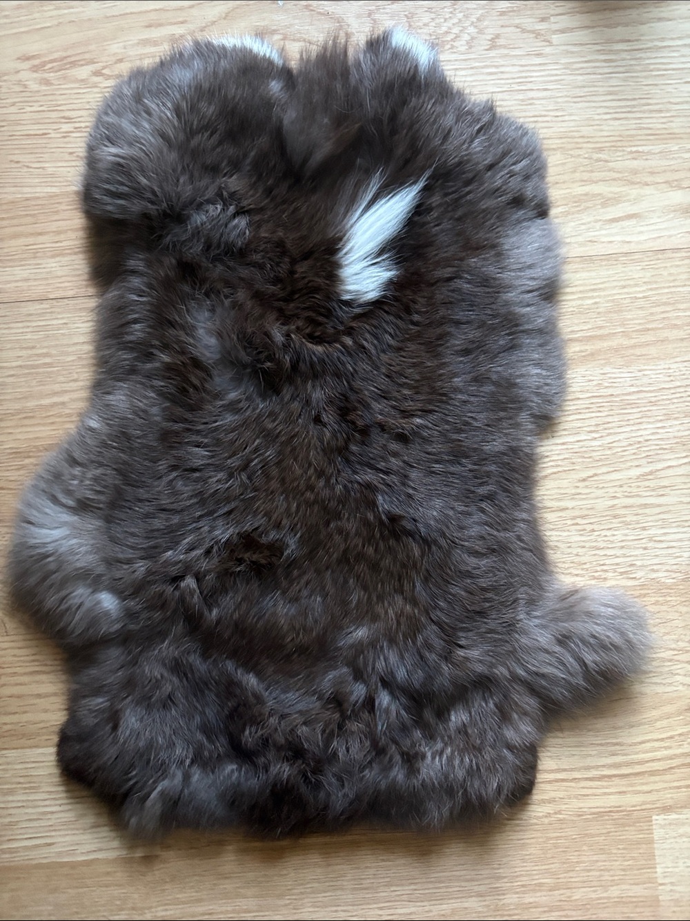 B0209 rabbit pelt